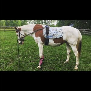 English saddle pad